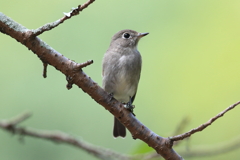 9月25日 明石公園 14