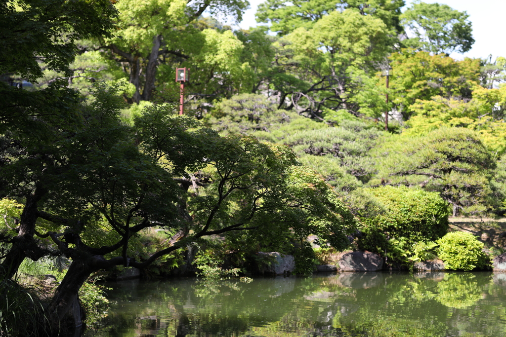 5月23日 相楽園 46