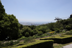 5月28日 布引ハーブ園 21
