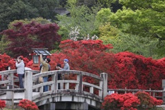 4月18日 長岡天神 12