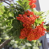 8月13日 松本 171