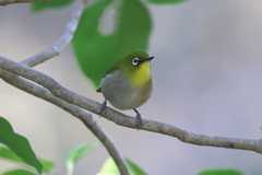 12月24日 明石公園 10