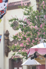 USJ風景 54 USJ風景 54