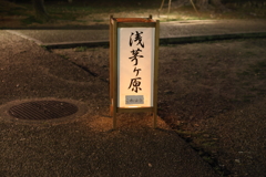 8月8日 なら燈花会 15