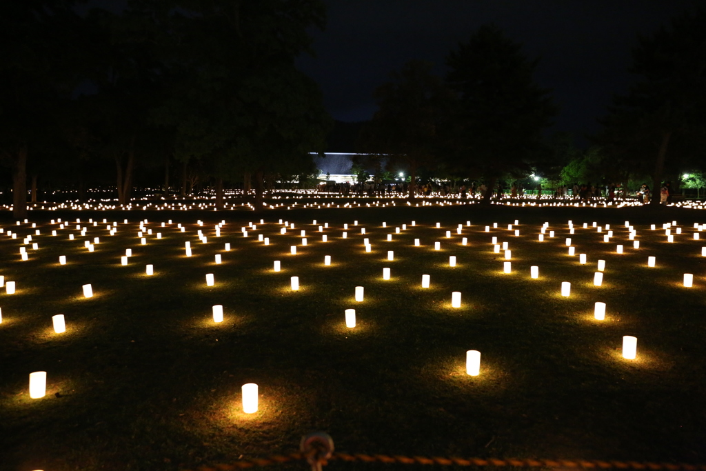 8月5日 なら燈花会 ６