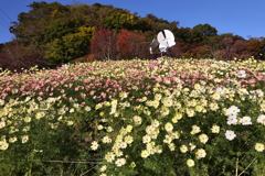 11月14日 布引ハーブ園 27