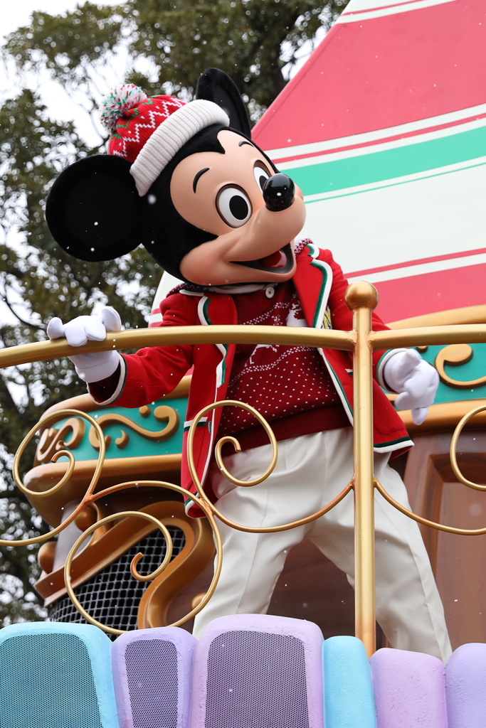 11月22日 東京ディズニーランド 14