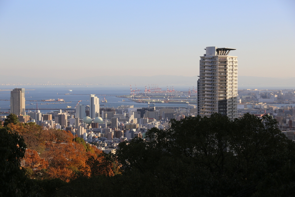 12月2日 布引の滝 ６