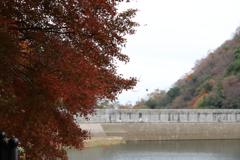 12月7日 布引の滝 22