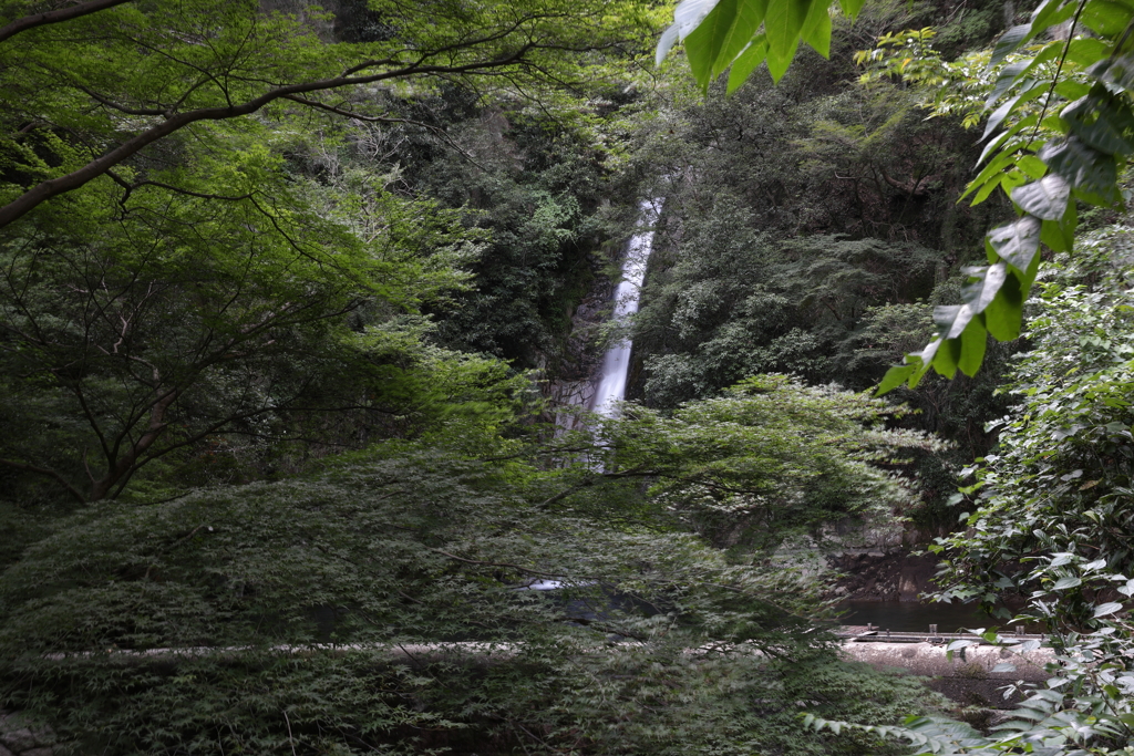 7月22日 布引の滝 ６