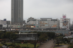 3月28日 明石公園 ７