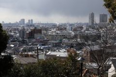 3月5日 岡本公園 ３