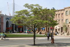 4月26日のUSJ 3 4月26日のUSJ 3