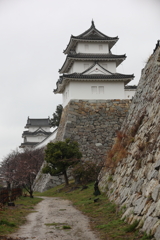 3月28日 明石公園 ８