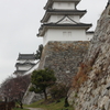 3月28日 明石公園 ８