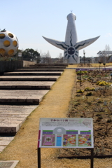 3月19日 万博記念公園 15
