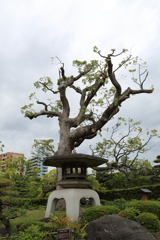 5月18日 相楽園 １