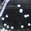 8月11日 京都水族館 ７
