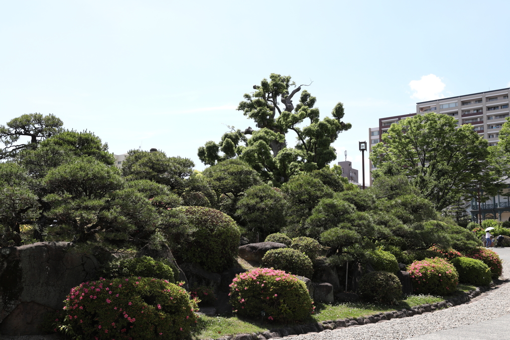 5月23日 相楽園 ３