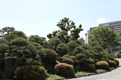 5月23日 相楽園 ３