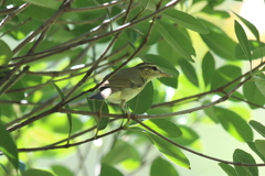 10月2日 明石公園 18