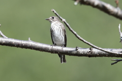 10月16日 明石公園 ６