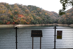 12月7日 布引の滝 21