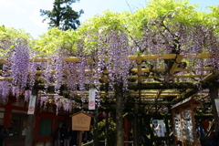 5月2日 奈良 33