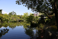 5月23日 相楽園 16
