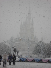2008年2月8日 雪のランド 2008年2月8日 雪のランド