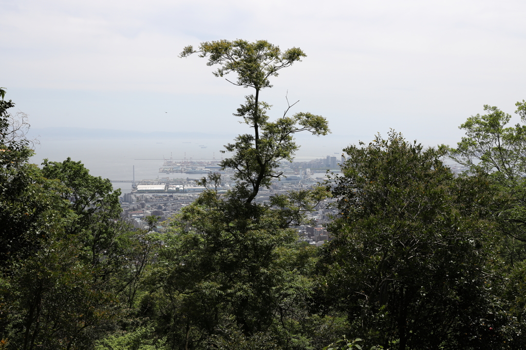 5月14日 長距離散歩 35