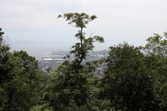 5月14日 長距離散歩 35