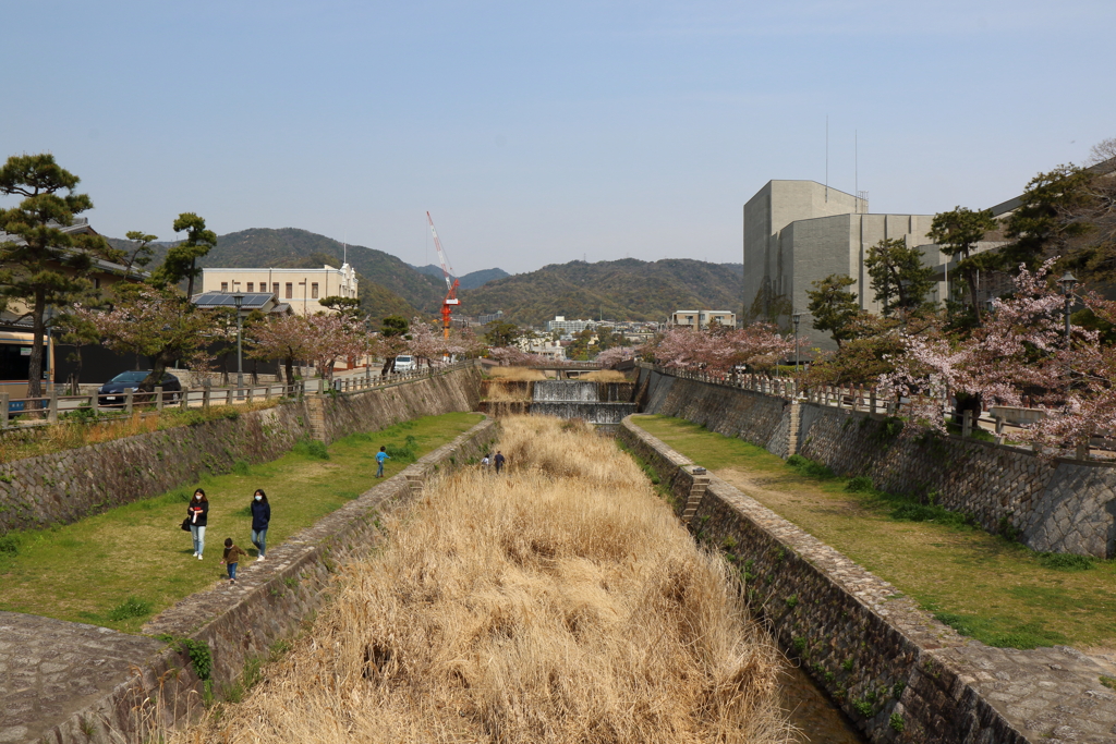 4月16日 散歩 ６