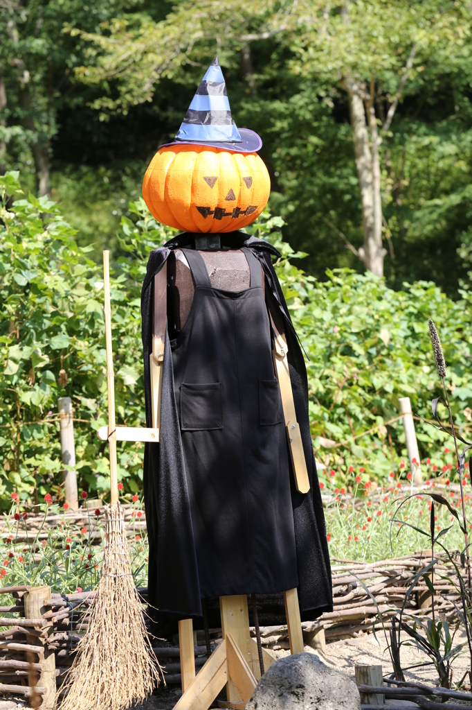 布引ハーブ園 ６