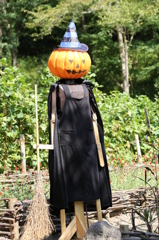 布引ハーブ園 6 布引ハーブ園 6