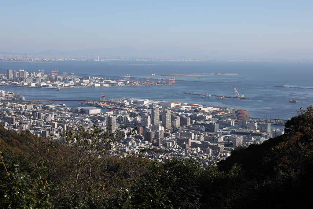 11月14日 布引ハーブ園 ２