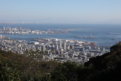 11月14日 布引ハーブ園 ２