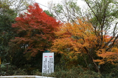 12月7日 布引の滝 １
