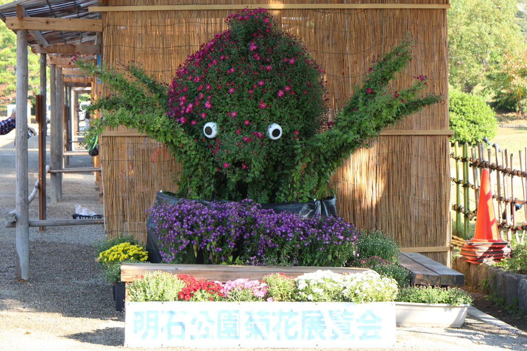 11月2日 明石公園 ２