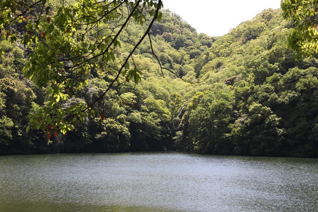 5月5日 布引ハーブ園 42