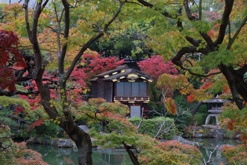 11月21日 相楽園 15