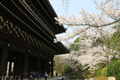 3月29日 京都 13