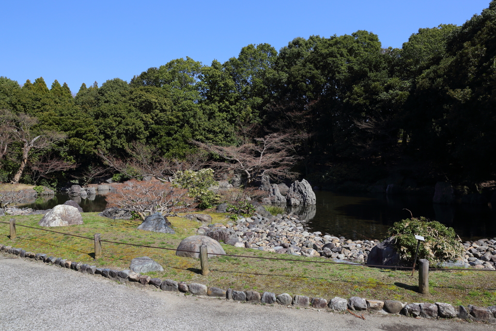 3月19日 万博記念公園 22