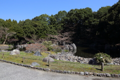 3月19日 万博記念公園 22