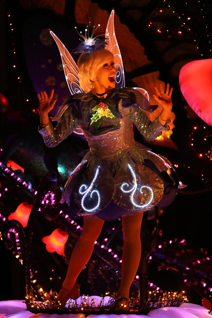 11月22日 東京ディズニーランド 79