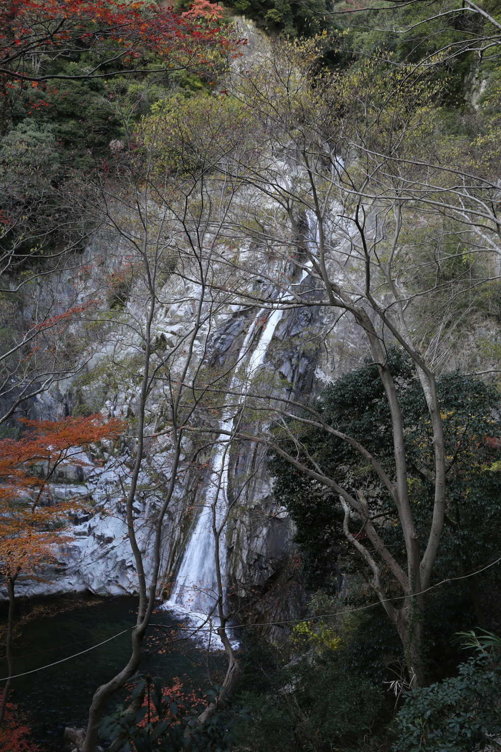 12月2日 布引の滝 ７