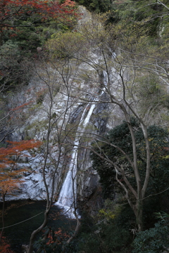 12月2日 布引の滝 7 12月2日 布引の滝 7
