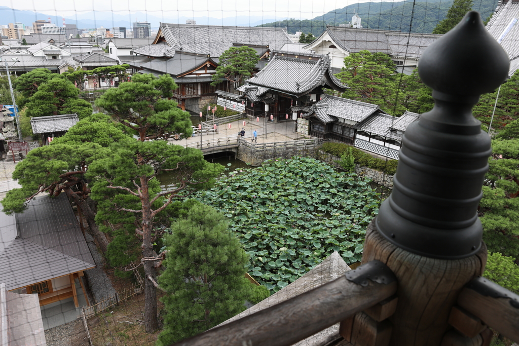 8月12日 善光寺 40
