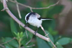 9月25日 明石公園 17