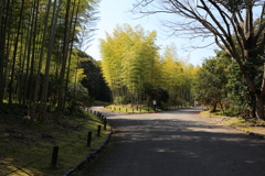 3月19日 万博記念公園 19